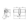 Цилиндровый механизм (личинка замка) Doorlock 30–30 латунный